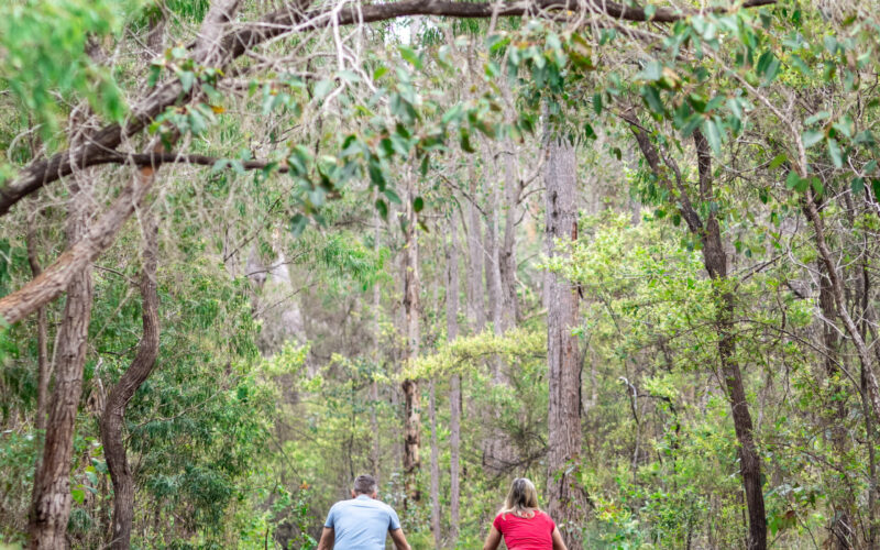 Jarrah Grove Forest Retreat