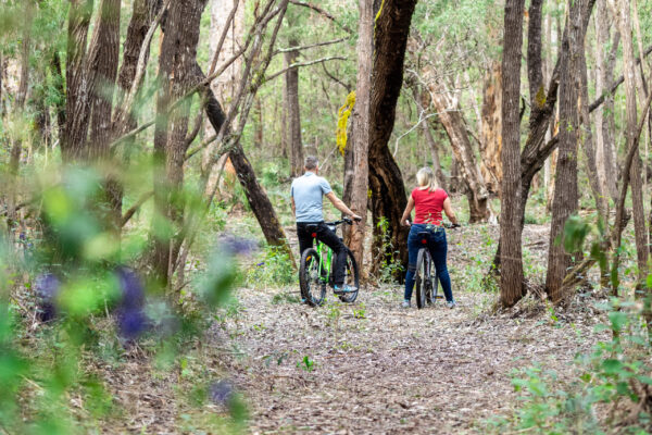 Jarrah Grove Forest Retreat